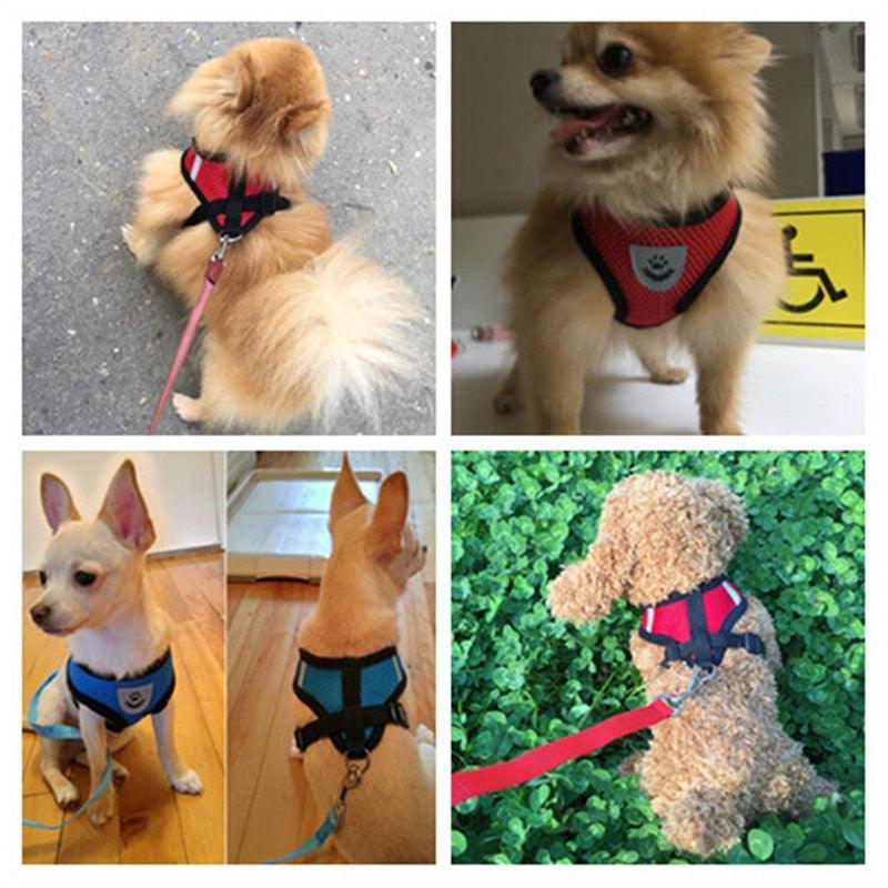 Coleira poliéster ajustável para animais de porte pequeno - Standard 67