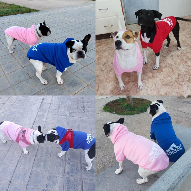 Moletom de inverno para Cães - Standard 67