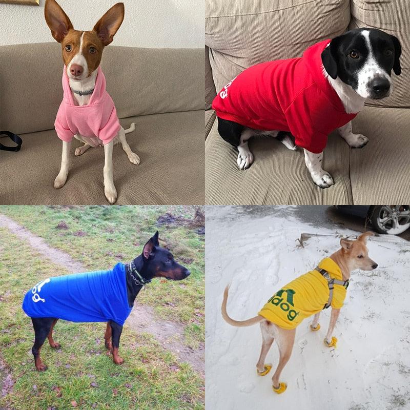 Moletom de inverno para Cães - Standard 67